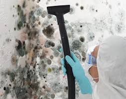 Best Mold Removal for HVAC Installations in Burlington, IA